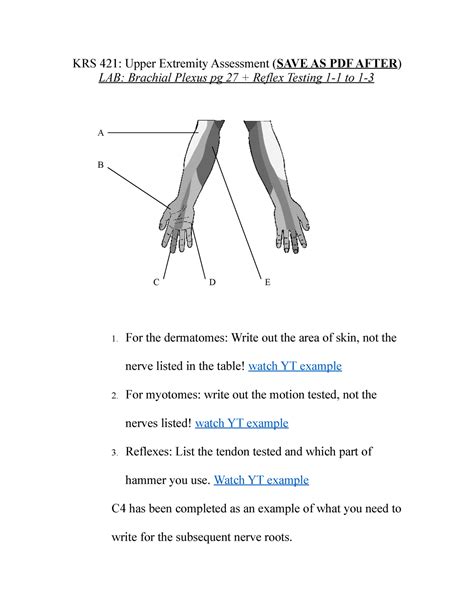 Lab 2 Brachial Plexus Reflex Testing Krs 421 Upper Extremity