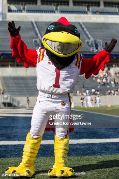 Iowa State Cheerleaders Photos And Premium High Res Pictures Getty Images