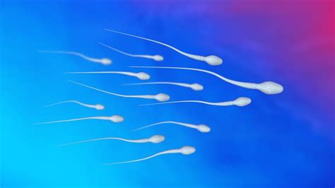 Spanish Scientists Use Skin Cells To Create Human Sperm Al Arabiya