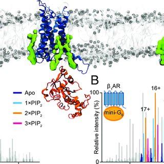 We demonstrate the performance of the algorithm on a number of artificial and real world datasets. Molecular dynamics simulations identify hotspots for binding of PIP 2... | Download Scientific ...