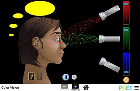 Best color vision phet lab worksheet - Aglocomoonjaycomunity