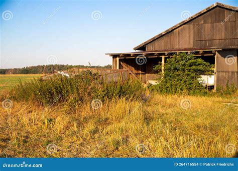 Old Overgrown Barn Overgrown With Plants Stock Photo Image Of Country