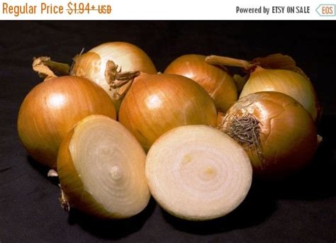 Sweet Yellow Spanish Utah Jumbo Onions By Caribbeangarden On Etsy
