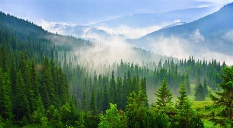 Green Mountain National Forest Vt Bucket List Destinations Pint
