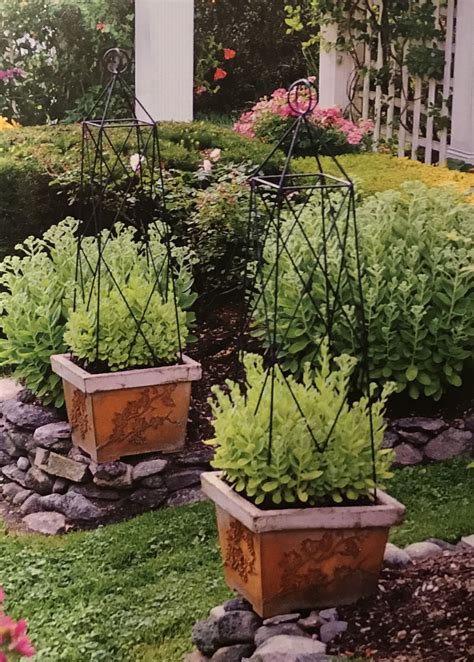 Three Planters With Plants Growing In Them On The Grass Near Some Rocks