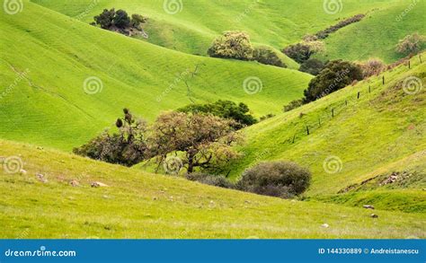 Verdant Valley In The Mountains On South San Francisco Bay Area San