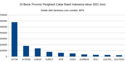 Produksi cabai rawit Indonesia tahun 2021 – Taninews.com