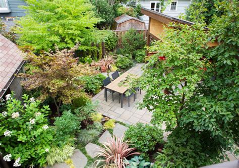 There are also pest management options available for growers not. Taking care of your trees during the summer - The Frisky