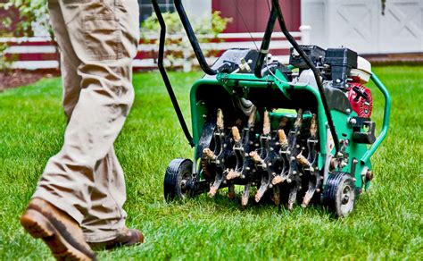 Do you know how to aerate your lawn? Aerating and Overseeding Services - Promow Lawn Care