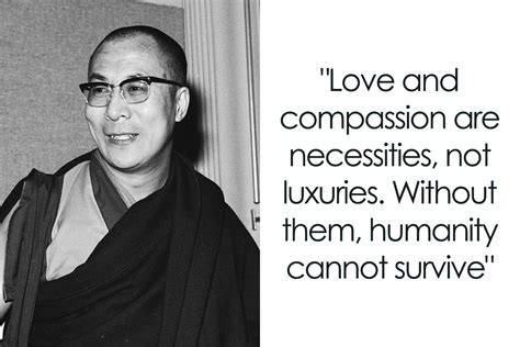 156 Compassion Quotes That Might Restore Your Faith In Humanity Bored