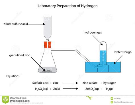 Diagram For Preparation Of Hydrogen Stock Illustration Illustration