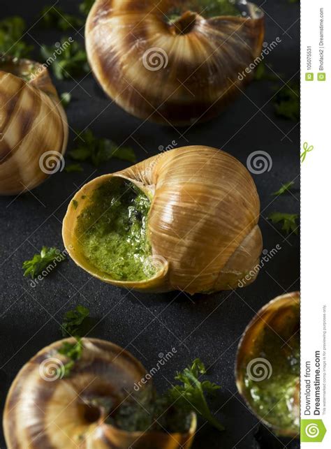 Fancy French Hot Escargot Appetizer Stock Image Image Of Parsley