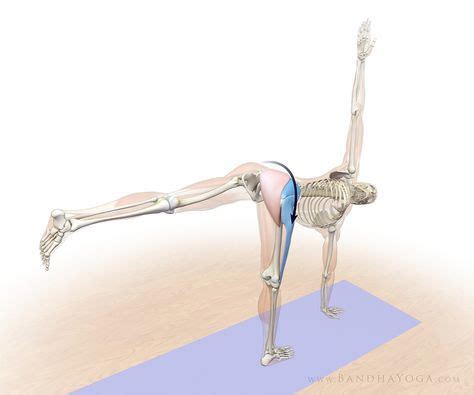 Mar 06, 2020 · read more: The Daily Bandha: Anatomic Sequencing: Revolved Half Moon ...