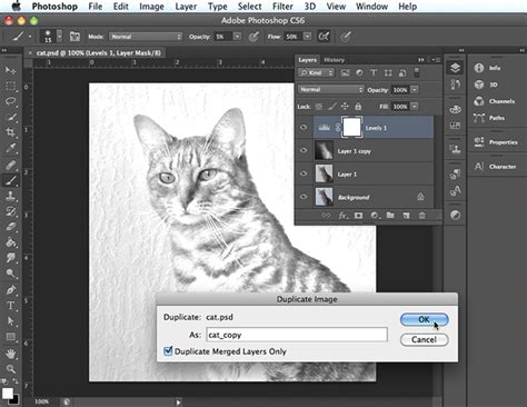 How To Add A Pencil Sketch Effect To Photos Using Photoshop Photoshop