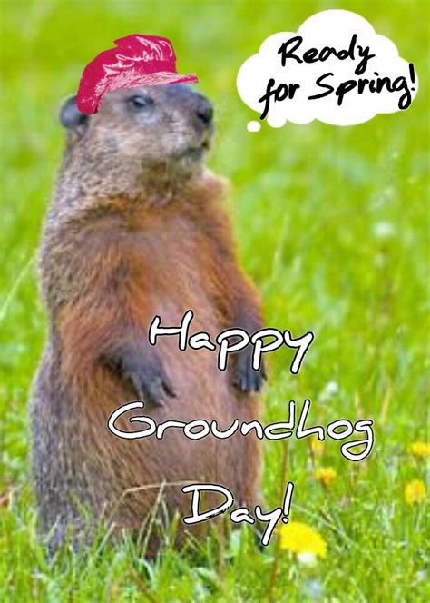 Happy Groundhog Day Happy Groundhog Day Groundhog Day Holiday Greetings