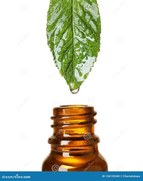 Mint Leaf With Drop Of Essential Oil Over Bottle Stock Photo Image Of