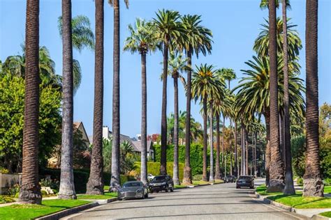 Best Things To Do In Beverly Hills Today And Everyday