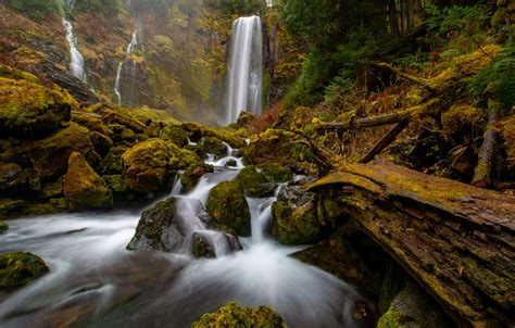 Обои лес ручей камни речка водопады брёвна Ford Pinchot