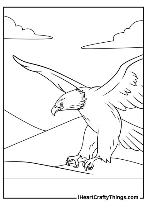 Bald Eagle Coloring Pages Updated 2023