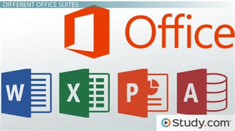Microsoft Office Is An Example Of What Type Of Software
