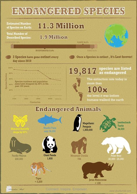 Endangered Species Infographic Infographic Endangered Animal