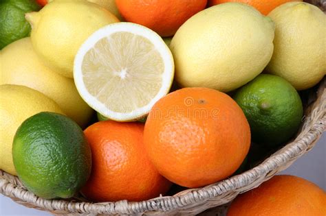 Fresh Citrus Fruits Stock Photo Image Of Orange Group 58647664