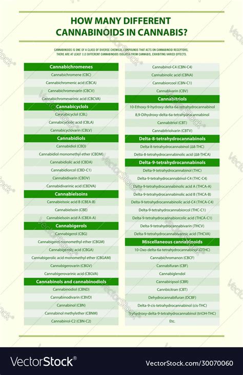 How Many Different Cannabinoids In Cannabis Vector Image