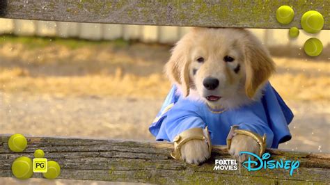 To save the family farm he decides to join a dog sled race in hopes of winning the $10,000 grand prize. Who Let The Dogs Out - Foxtel Movies Disney - YouTube