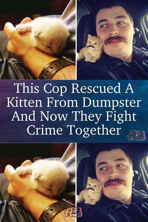 This Cop Rescued A Kitten From Dumpster And Now They Fight Crime