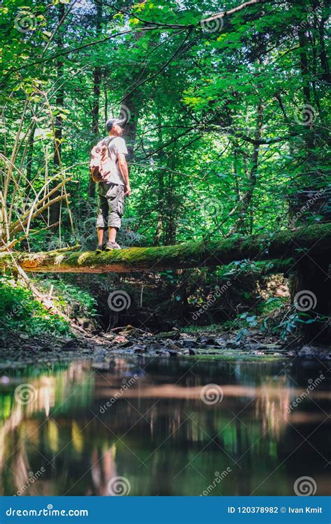 Alone Man In Wild Forest Stock Photo Image Of Spring 120378982