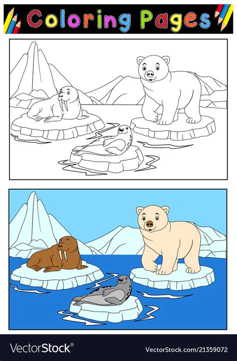 Arctic Animals For Coloring Book Royalty Free Vector Image