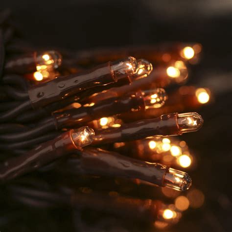 50 Count Clear Bulb And Brown Cord Teeny String Lights Lighting