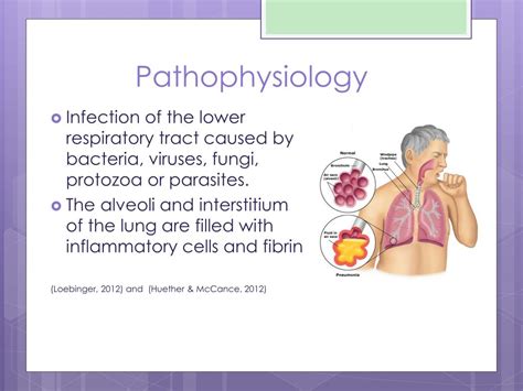 Pathophysiology Of Pneumonia