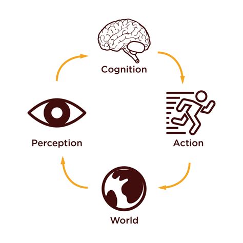 Cognition and Perception in HCI. My key takeaways from the 