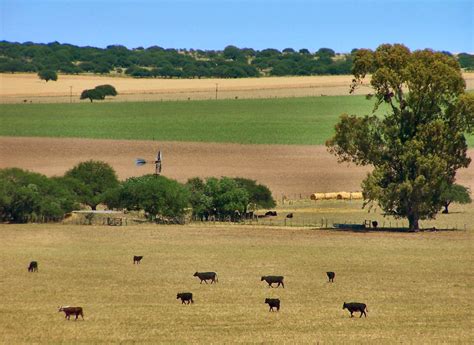 Desconocido La Pampa No Es Un Desierto Y Te Lo Muestro Taringa