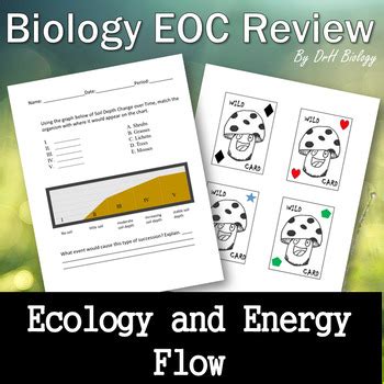 State of texas assessments of academic readiness. Biology STAAR Review - Ecology and Energy Flow by DrH Biology | TpT