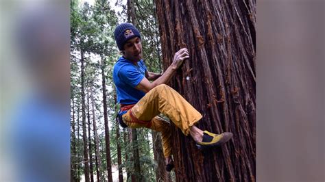 Why This Professional Rock Climber Free Climbed A Giant Redwood Tree