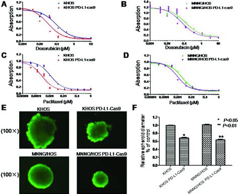 Drug Resistance And Three Dimensional Culture In Osteosarcoma Cell
