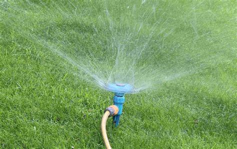 Garden Sprinkler Hose Head Plant Lawn Irrigation System Web限定