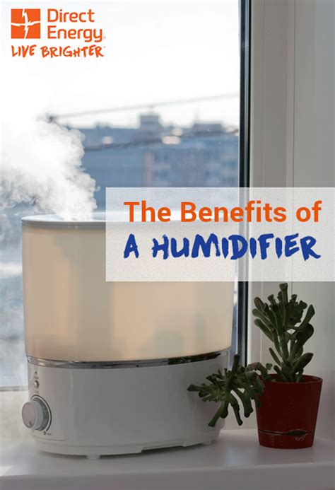 To deep clean your machine, begin by disinfecting its base using 3 percent hydrogen peroxide or white distilled vinegar. How a Humidifier Can Protect Your Health and Home | Bright ...