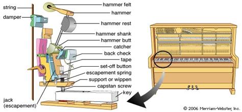 Gesund Geschmeidig Außenborder klavier mechanismus Wie dick Panik