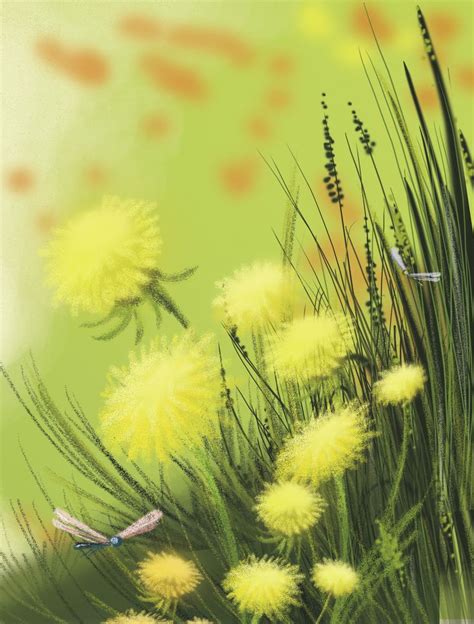 Dandelions With Dragonfly Illustration By Christina Borodina For Fairy