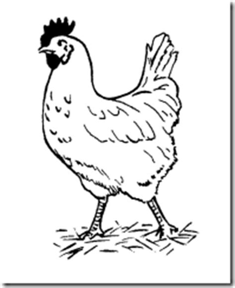 Neh wiwil ada sketsa gambar anak ayam yang baru menetas loh, lucu banget tau. Belajar mewarnai gambar ayam-SBK ~ Kelas 2 SD Negeri 1 Kebumen