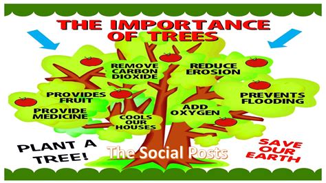 Benefits Of Planting Trees Benefit Of Plants Benefits Of Planting