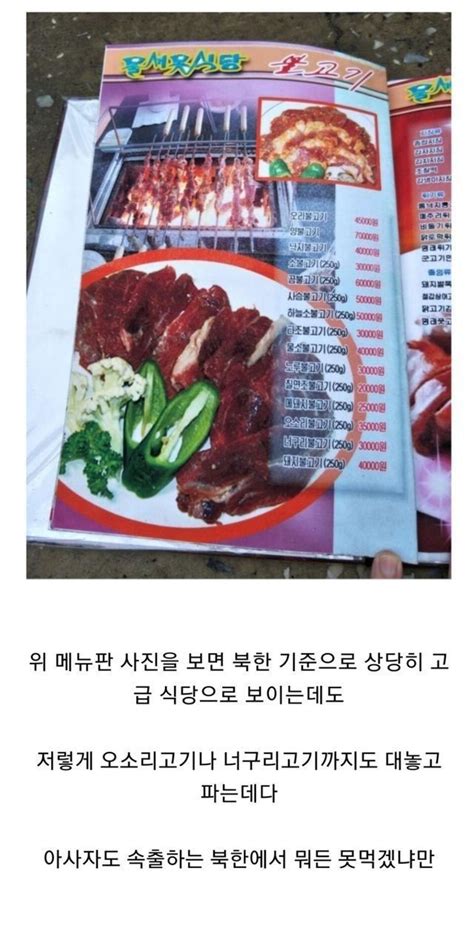 북한 사람들이 하늘소를 먹는 이유 음식 유머 밈