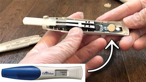 Whats Inside A Positive Pregnancy Test Youtube