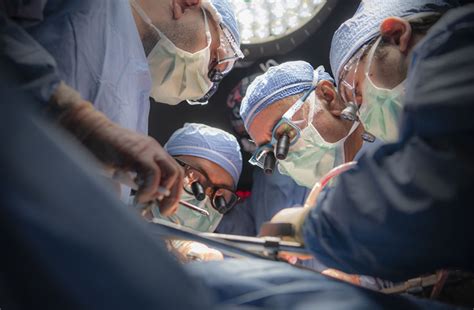 Liver Transplant Operation