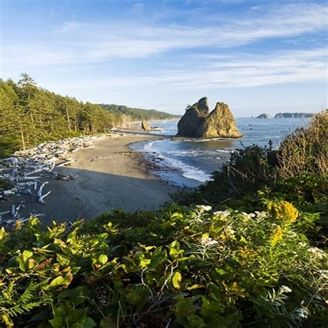 Camping Or Charming Coastal Hotel In Washington State State