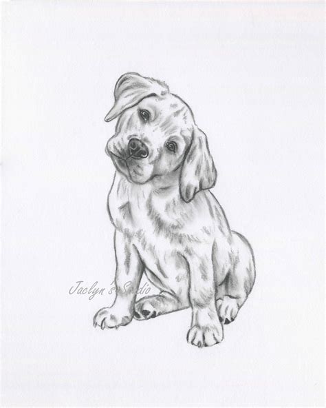 Golden Lab Art Lab Drawing Original Drawing Lab Sketch Dog Art Dog