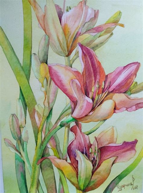 Original Watercolour Botanical Painting Summer Flowers